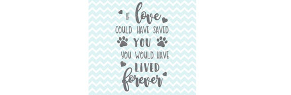 If Love Could Have Saved You Quote For Pets